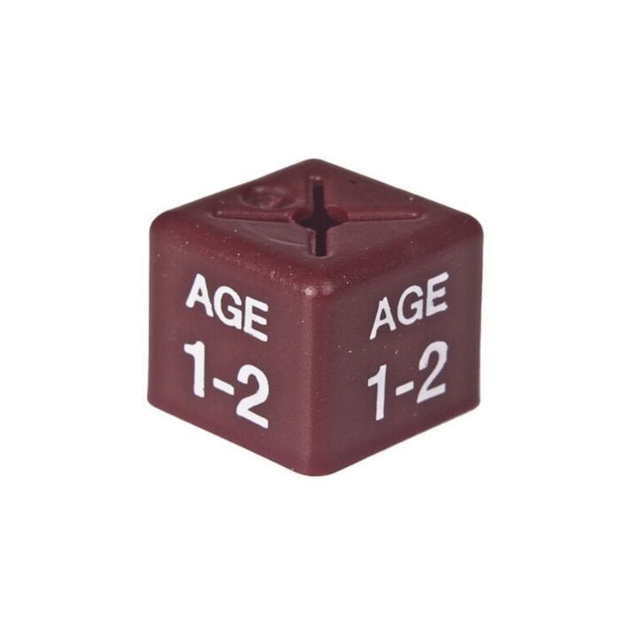 'Age 1-2' Size Cubes - Maroon