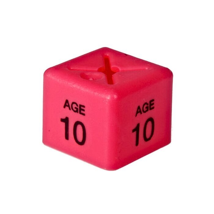 age 10 size cubes pink 1 - 'Age 10' Size Cubes - Pink