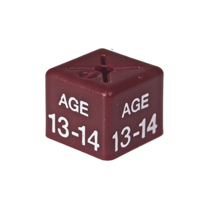 'Age 13-14' Size Cubes - Maroon