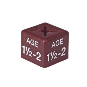 'Age 1½-2' Size Cubes - Maroon