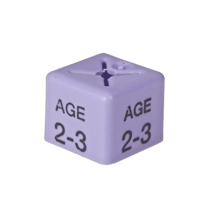 age 2 3 size cubes lilac 1 - 'Age 2-3' Size Cubes - Lilac