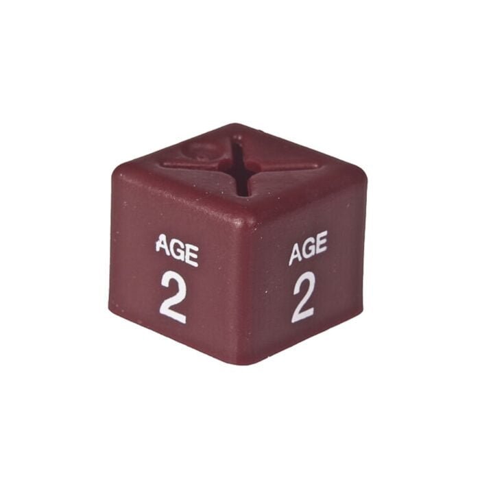 age 2 size cubes maroon 1 - 'Age 2' Size Cubes - Maroon