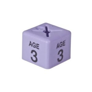 'Age 3' Size Cubes - Lilac