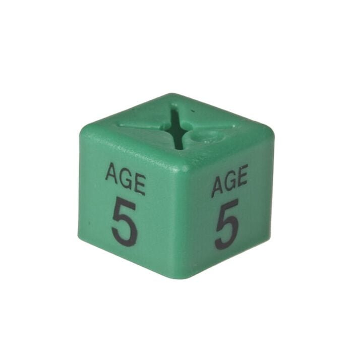 'Age 5' Size Cubes - Green