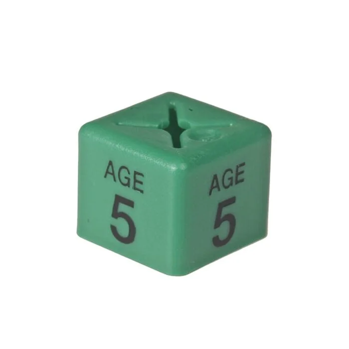 age 5 size cubes green 1 - 'Age 5' Size Cubes - Green