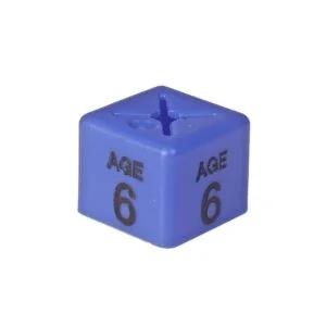 'Age 6' Size Cubes - Blue