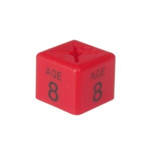 'Age 8' Size Cubes - Red