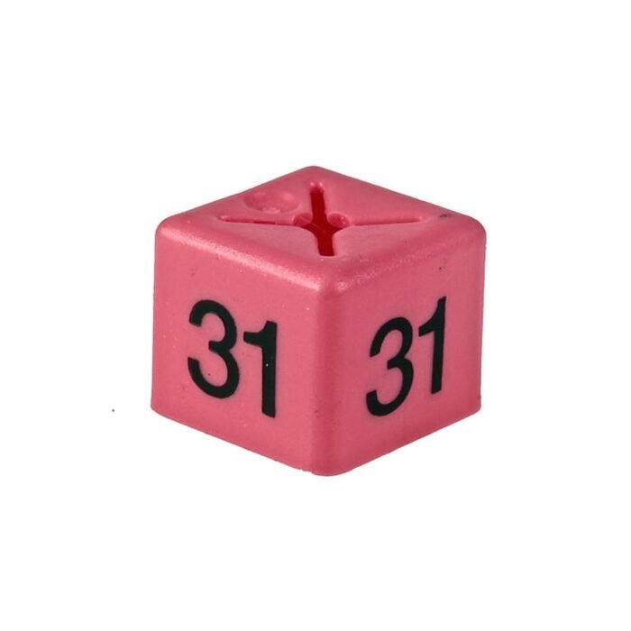 'Size 31' Size Cubes - Pink