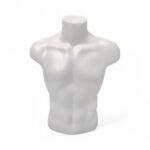 Male Torso Mannequin