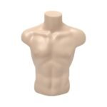 Male Torso Mannequin