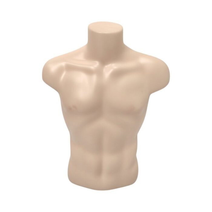 Male Torso Mannequin