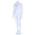 Fuller Figure Female Mannequin No Head